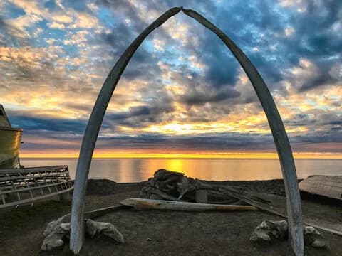 Whale bone on the Alaska coast